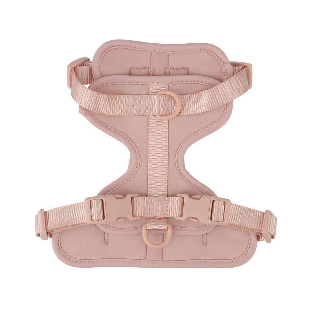 Confidence Harness - Rose