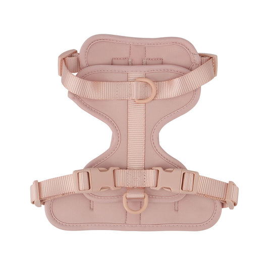 Confidence Harness - Rose