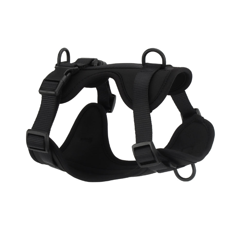 Confidence Harness - Shadow