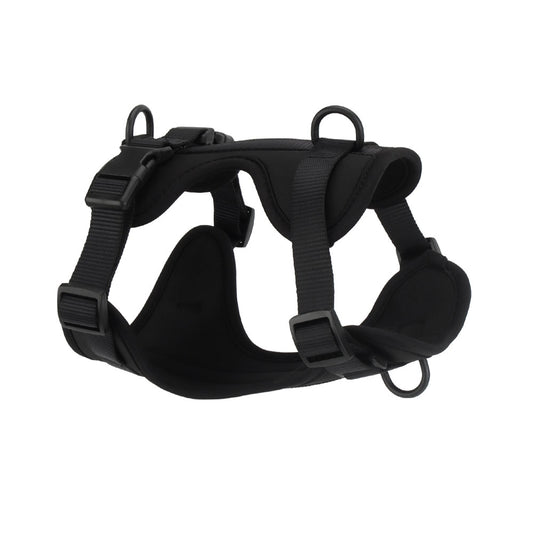 Confidence Harness - Shadow