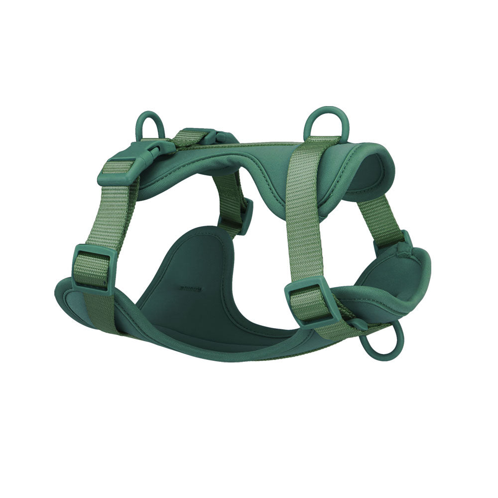 Confidence Harness - Olive
