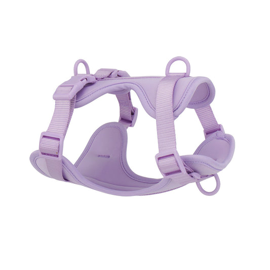 Confidence Harness - Violet Cloud
