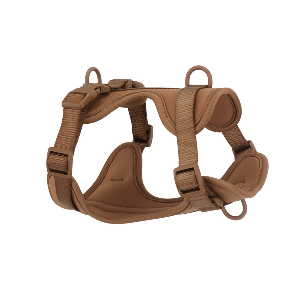 Confidence Harness - Mocha