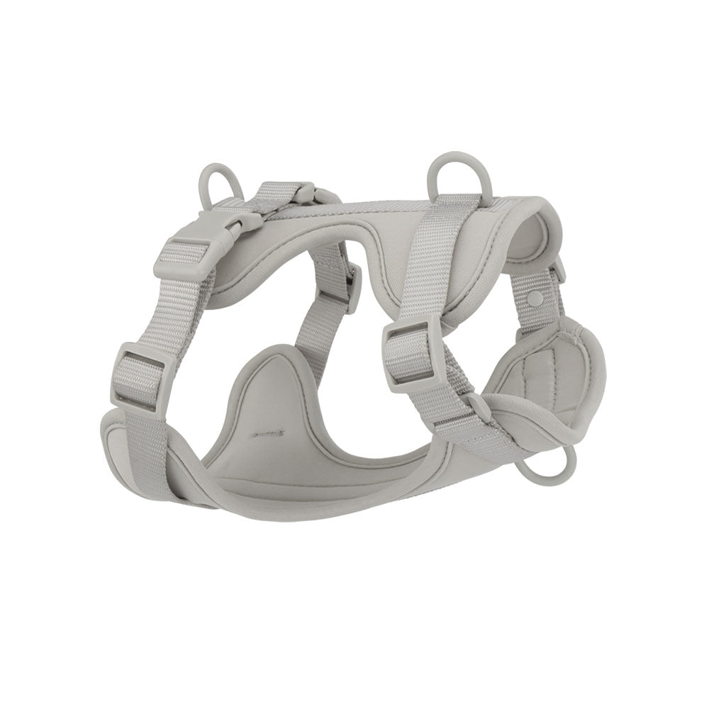 Confidence Harness - Grey Haven