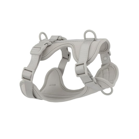 Confidence Harness - Grey Haven